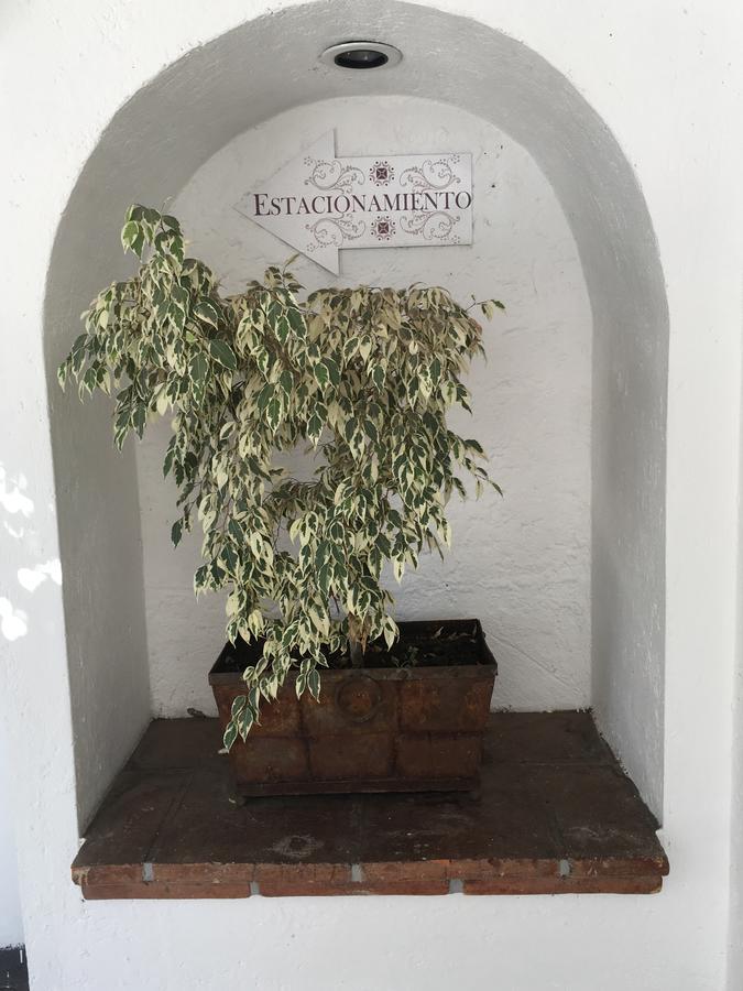 Hotel Calli Quetzalcoatl Cholula Zewnętrze zdjęcie